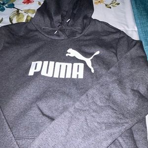 Gray Puma Hoodie